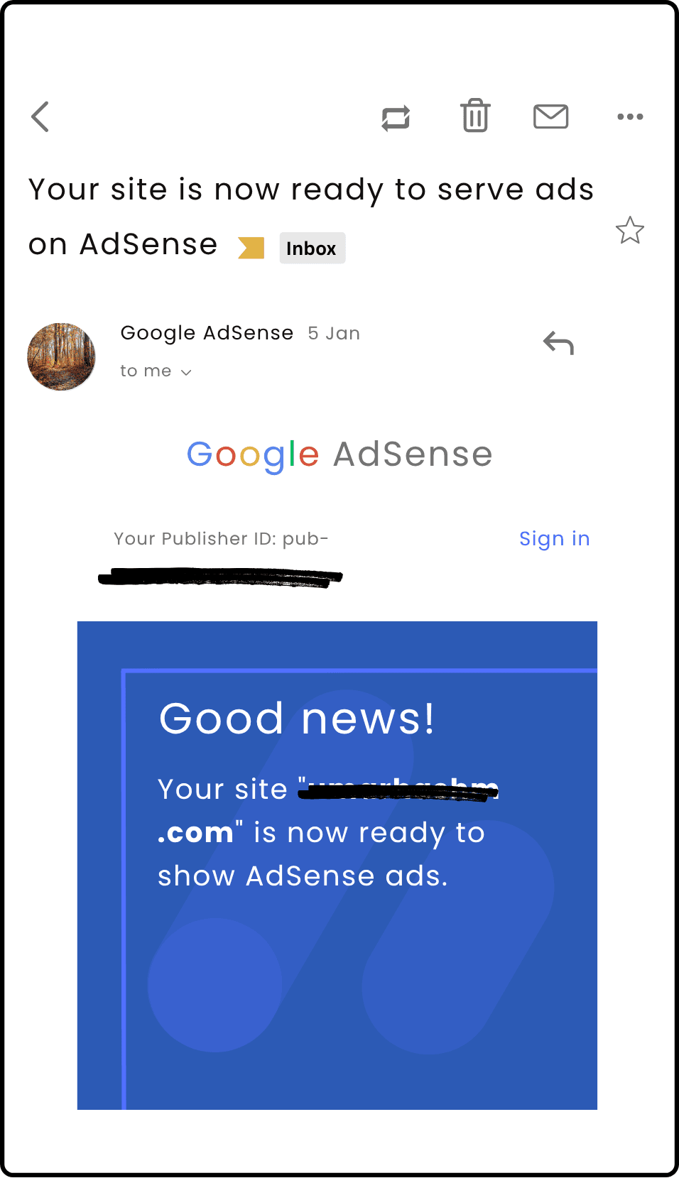 AdSense Approval Proof #2