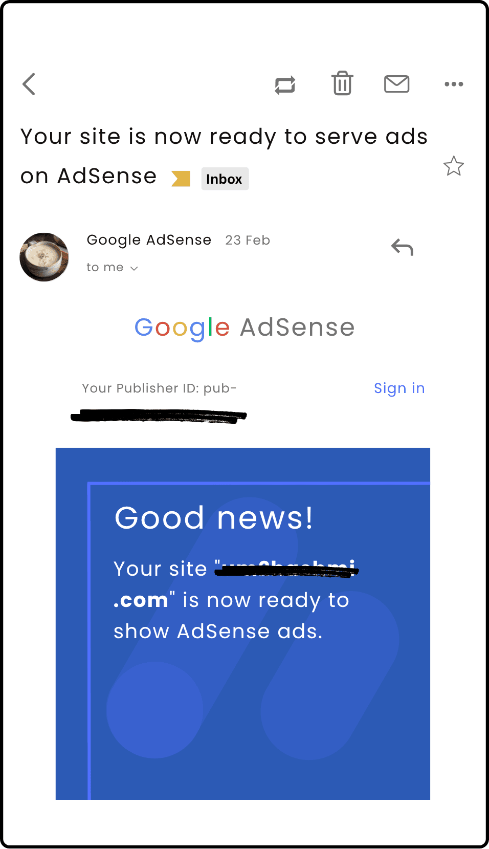 AdSense Approval Proof #23