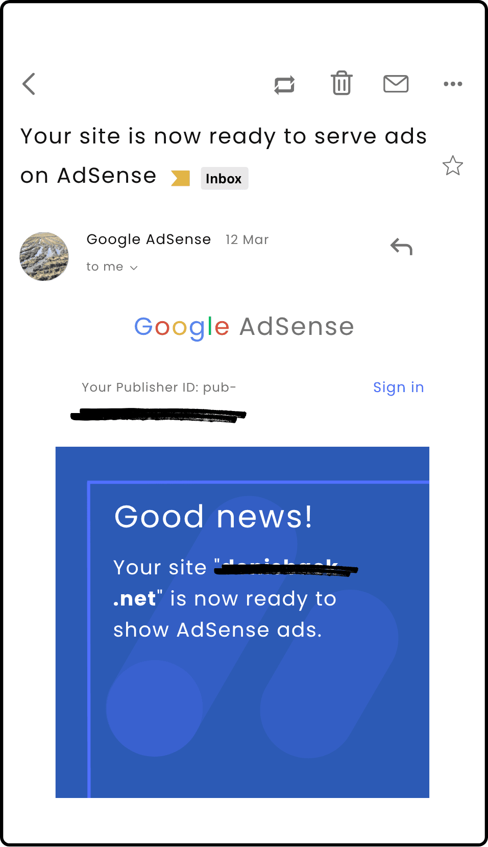 AdSense Approval Proof #31