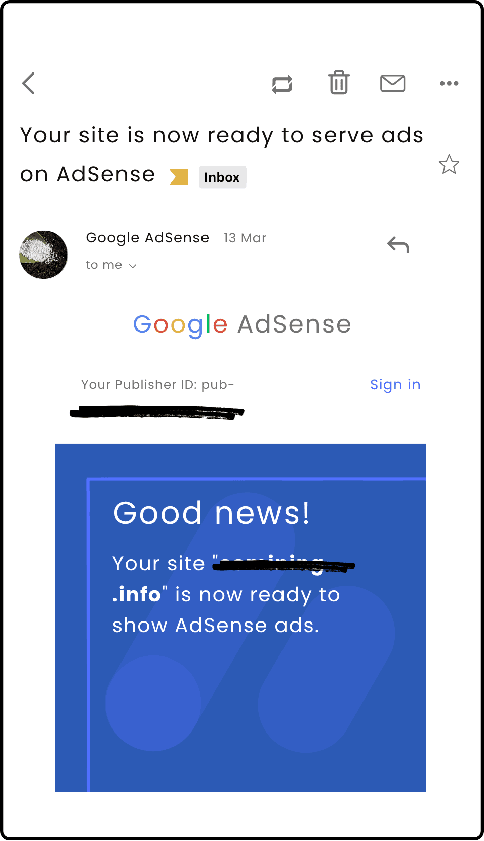 AdSense Approval Proof #32