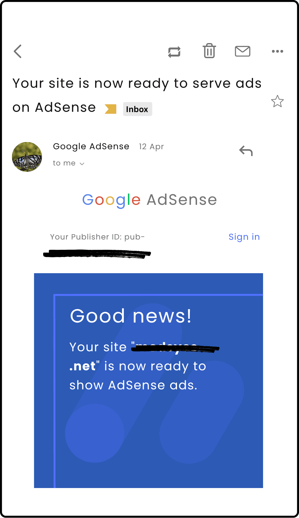 AdSense Approval Proof #44